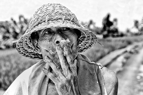 Go to the Farmers Gallery