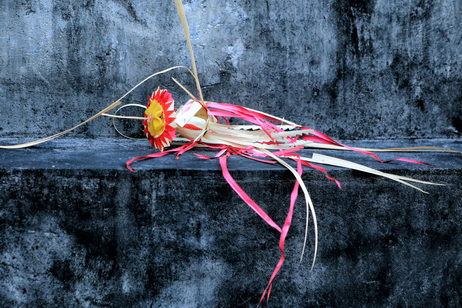 Go to the Gallery of Balinese Hindu Offerings